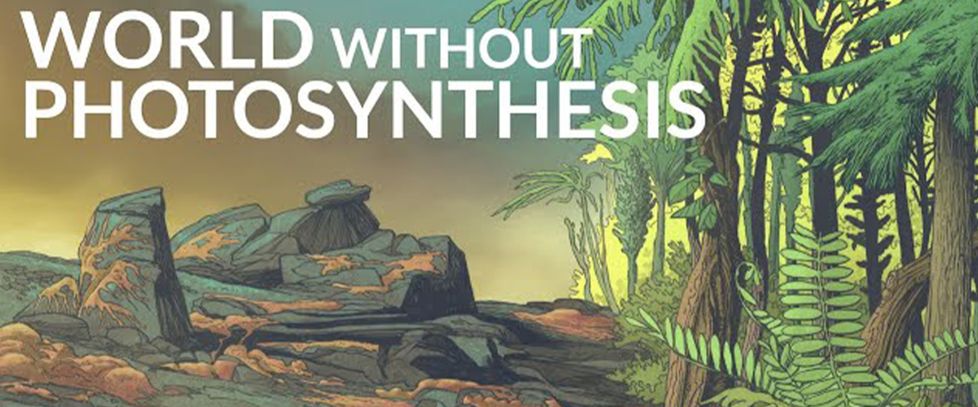 What Would The Earth Be Like Without Photosynthesis?